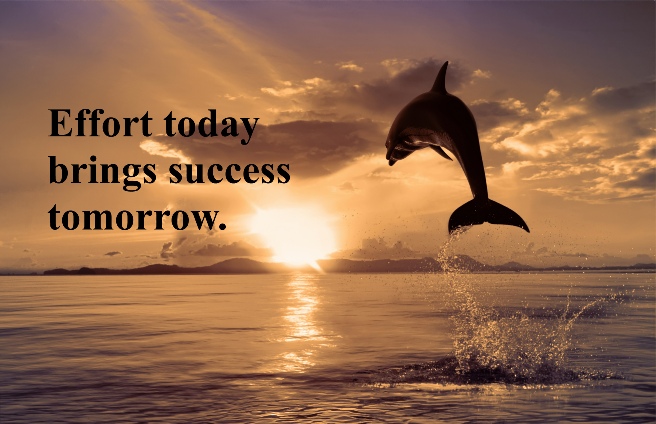 Motivational Poster.zip